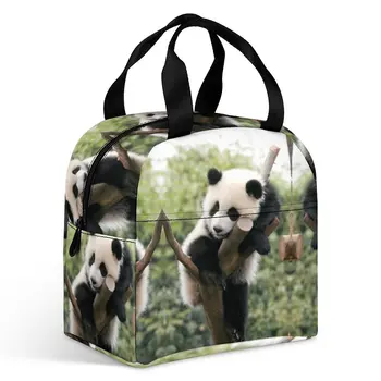 Panda48Izoliuotas pietų krepšys Patvari daugkartinio naudojimo pietų dėžutė Pietų dėžutės vyrams Moterų kelionių piknikas